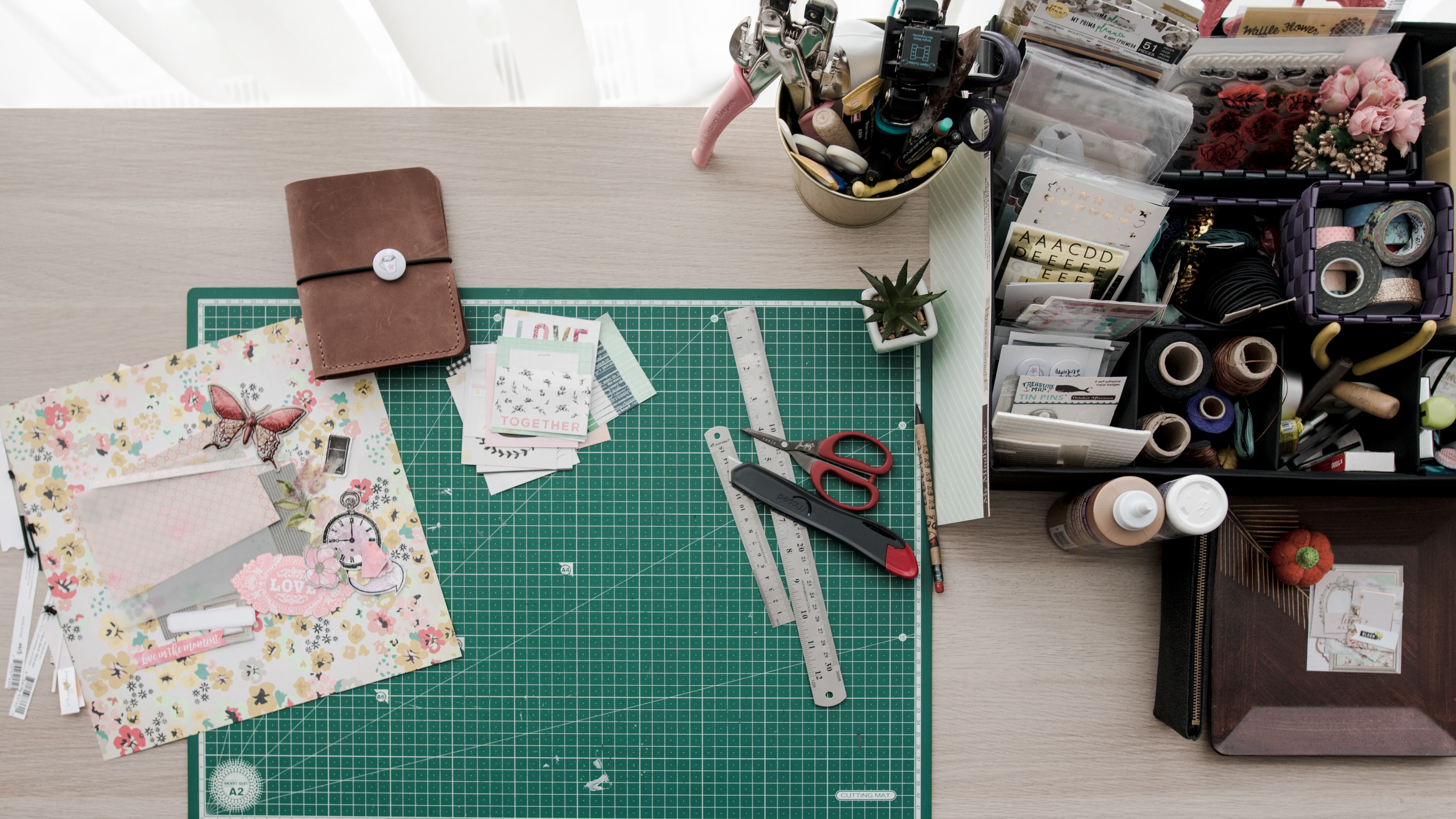 Unlimited sessions for 3 months for existing students — Two Moles Sewing Shop